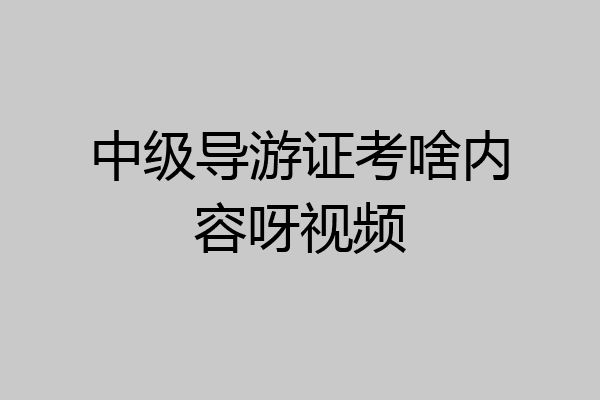 中级导游证考啥内容呀视频