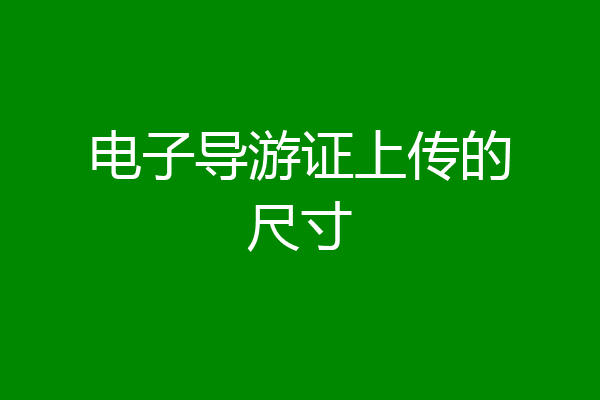 电子导游证上传的尺寸