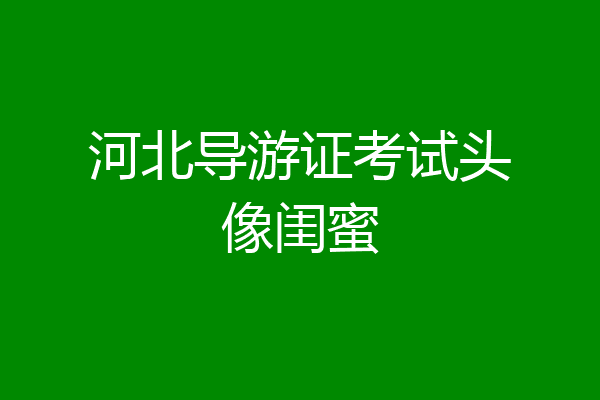 河北导游证考试头像闺蜜