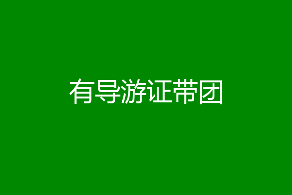 有导游证带团