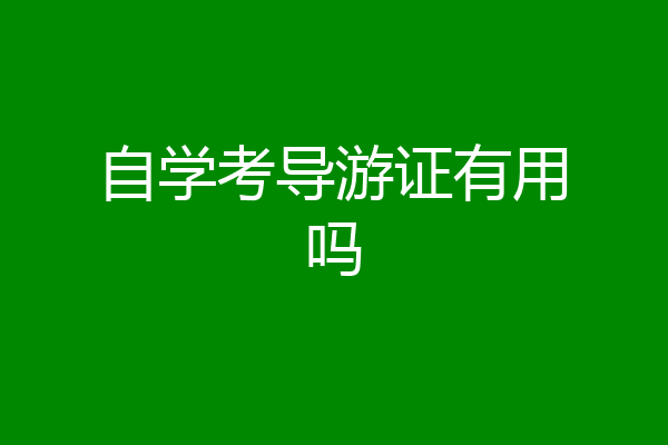 自学考导游证有用吗