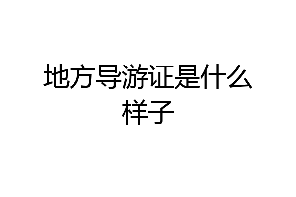 地方导游证是什么样子