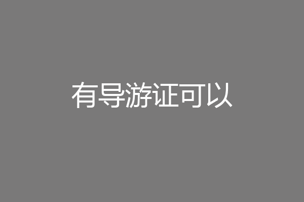 有导游证可以