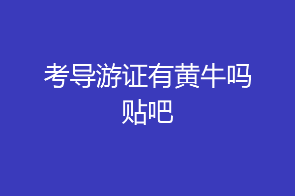 考导游证有黄牛吗贴吧