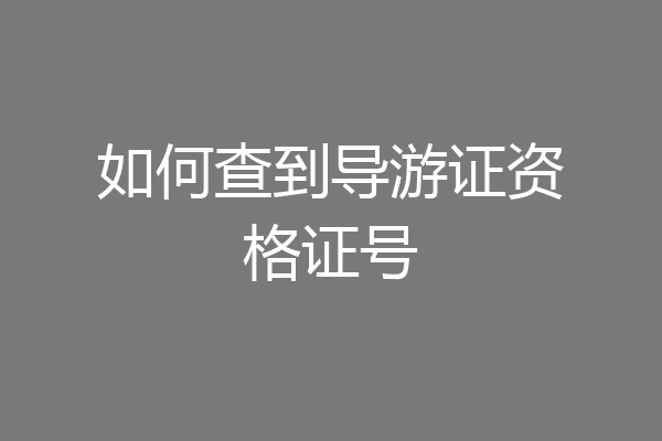 如何查到导游证资格证号