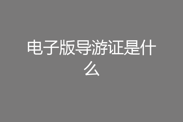 电子版导游证是什么