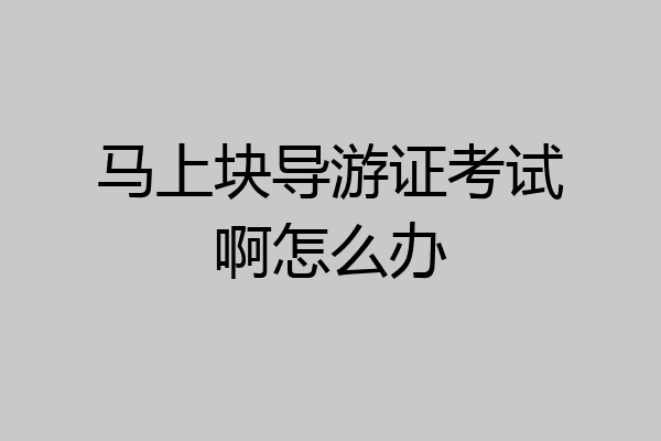马上块导游证考试啊怎么办