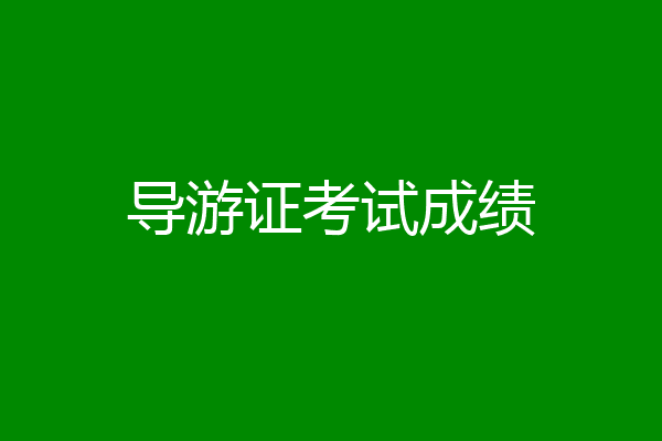 导游证考试成绩
