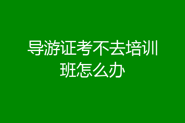 导游证考不去培训班怎么办