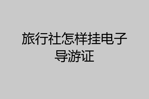 旅行社怎样挂电子导游证