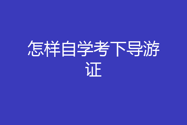 怎样自学考下导游证