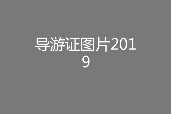 导游证图片2019