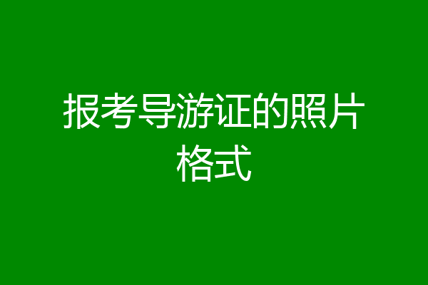 报考导游证的照片格式