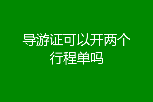 导游证可以开两个行程单吗