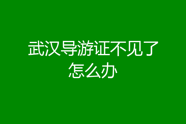 武汉导游证不见了怎么办