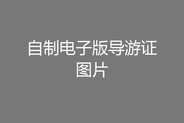 自制电子版导游证图片
