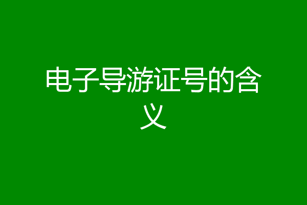 电子导游证号的含义
