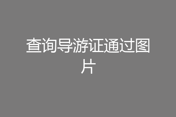 查询导游证通过图片