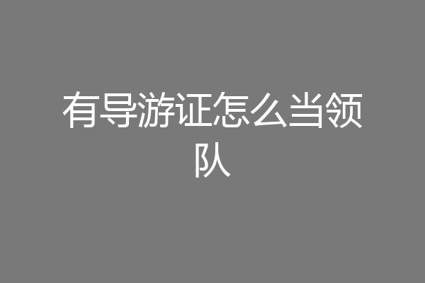 有导游证怎么当领队
