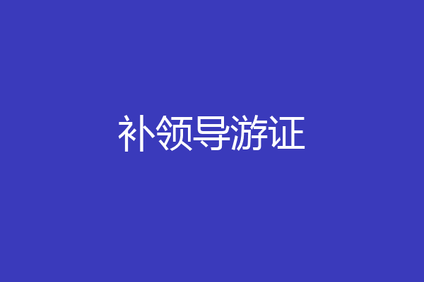 补领导游证