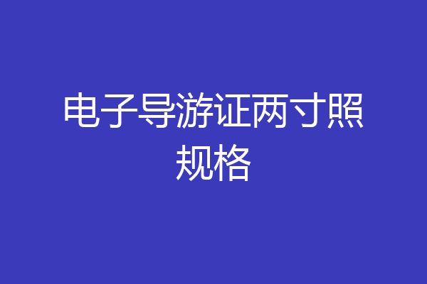 电子导游证两寸照规格
