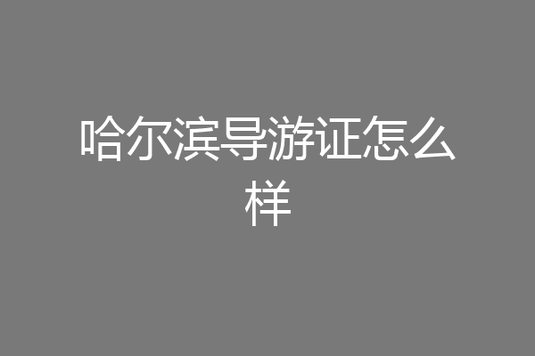 哈尔滨导游证怎么样