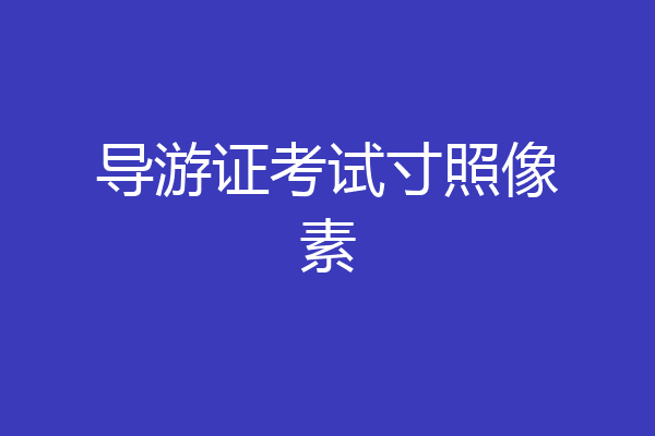 导游证考试寸照像素