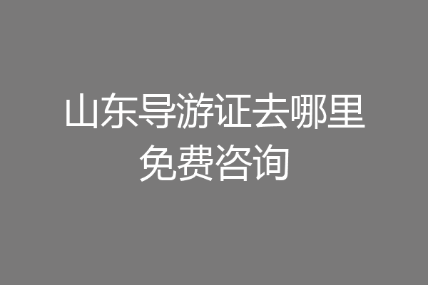 山东导游证去哪里免费咨询