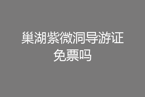 巢湖紫微洞导游证免票吗