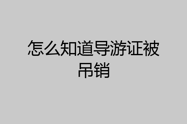 怎么知道导游证被吊销