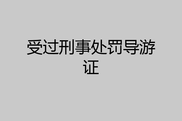 受过刑事处罚导游证