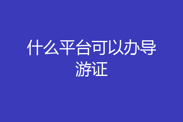什么平台可以办导游证