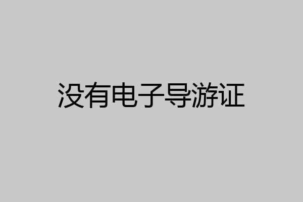 没有电子导游证