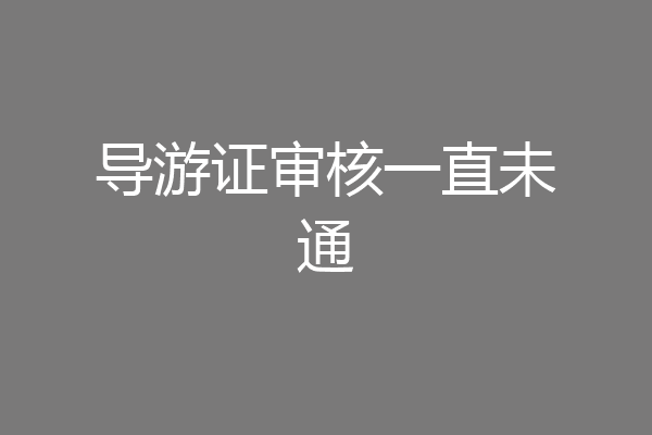 导游证审核一直未通