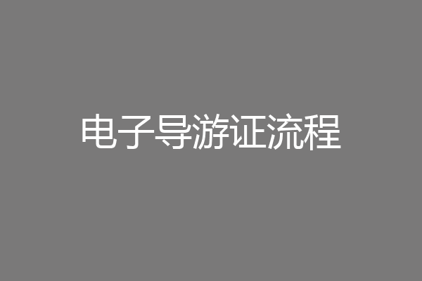 电子导游证流程