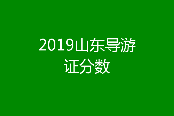 2019山东导游证分数