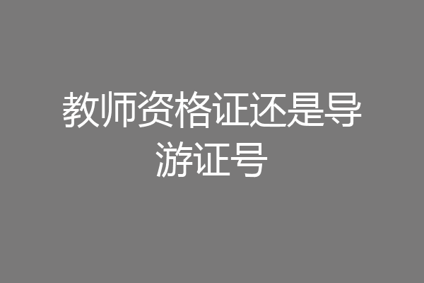 教师资格证还是导游证号
