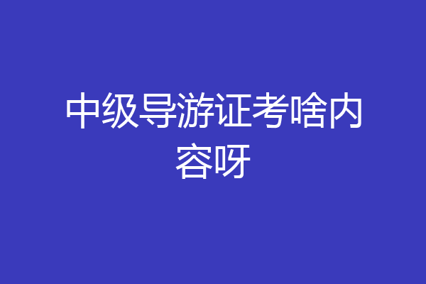 中级导游证考啥内容呀