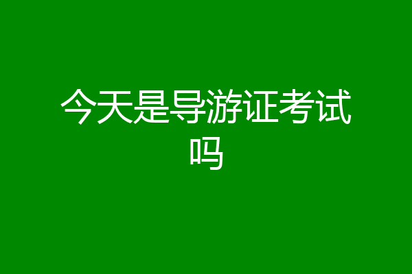 今天是导游证考试吗