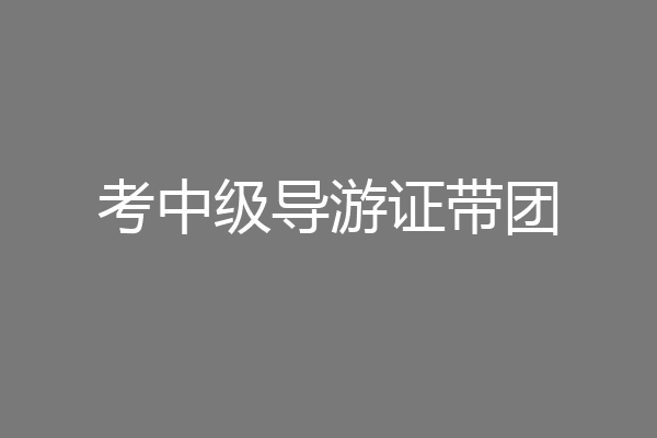 考中级导游证带团