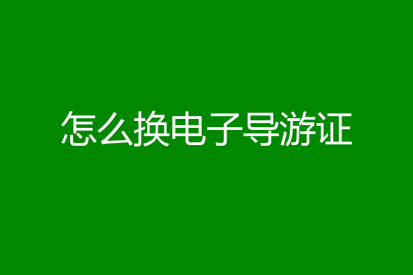 怎么换电子导游证