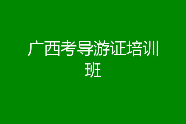 广西考导游证培训班