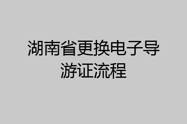 湖南省更换电子导游证流程