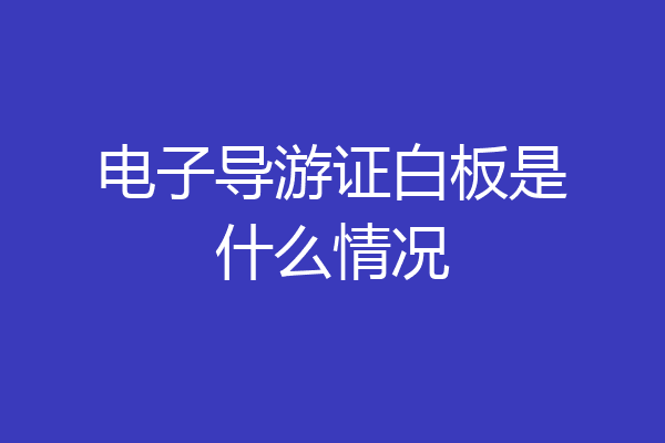 电子导游证白板是什么情况