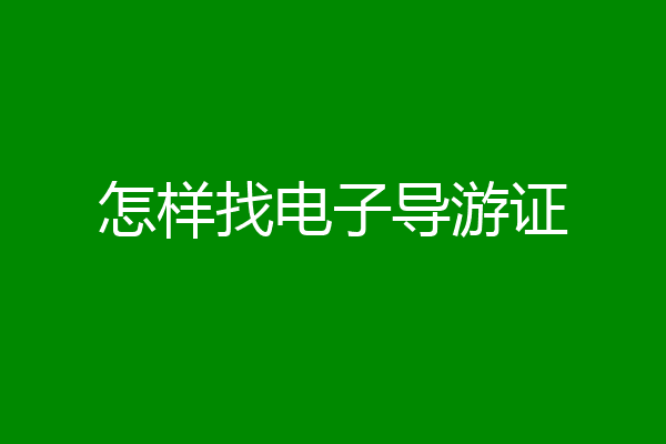 怎样找电子导游证