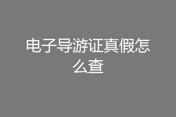 电子导游证真假怎么查