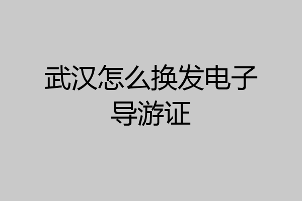 武汉怎么换发电子导游证