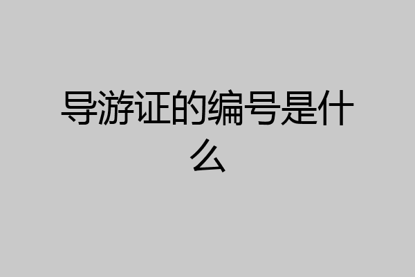 导游证的编号是什么
