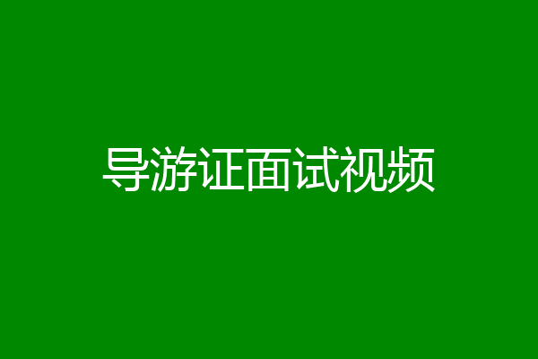 导游证面试视频