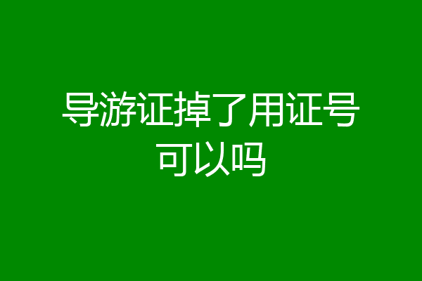 导游证掉了用证号可以吗